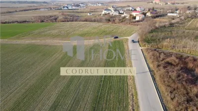 Teren intravilan 2500mp, Bucov - foto 3