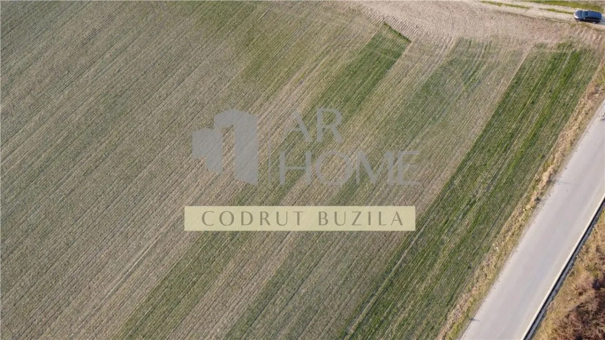 Teren intravilan 2500mp, Bucov - foto 4
