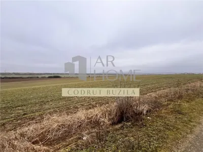 Teren intravilan 4792 mp,  Bucov - Bucov