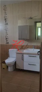 Vanzare casa 5 camere andronache - foto 7
