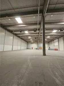 Spatiu Industrial - 4200 mp - Logistica - Productie - Depozitare - Distributie - foto 4