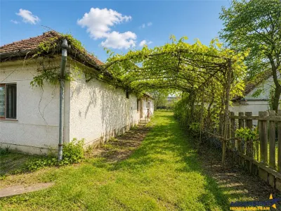 Casa cu  1.924 mp teren, de inchiriat, Sfantu Gheorghe - Sfantu Gheorghe