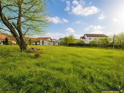Casa cu  1.924 mp teren, de inchiriat, Sfantu Gheorghe - foto 3