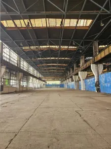 Spatiu Industrial - 1400 mp - Productie - Depozitare - Distributie - foto 8