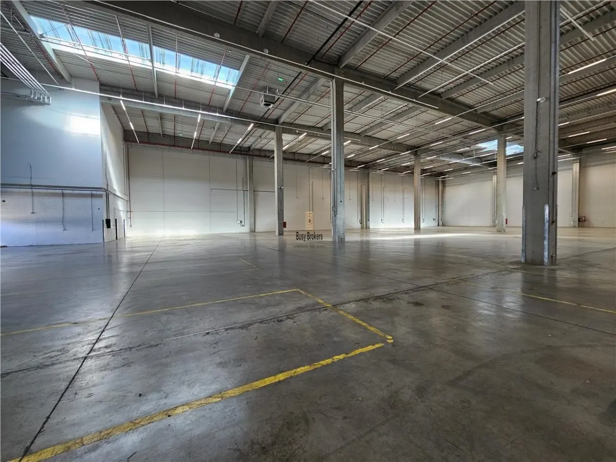 Spatiu Industrial - 5300 mp - Logistica - Productie - Depozitare - Distributie - foto 16