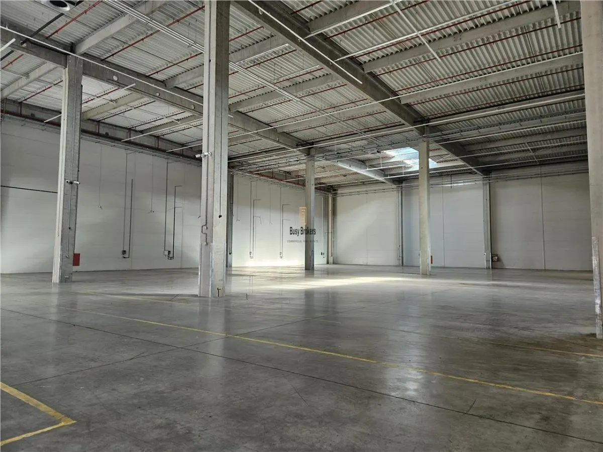 Spatiu Industrial - 5300 mp - Logistica - Productie - Depozitare - Distributie - foto 5