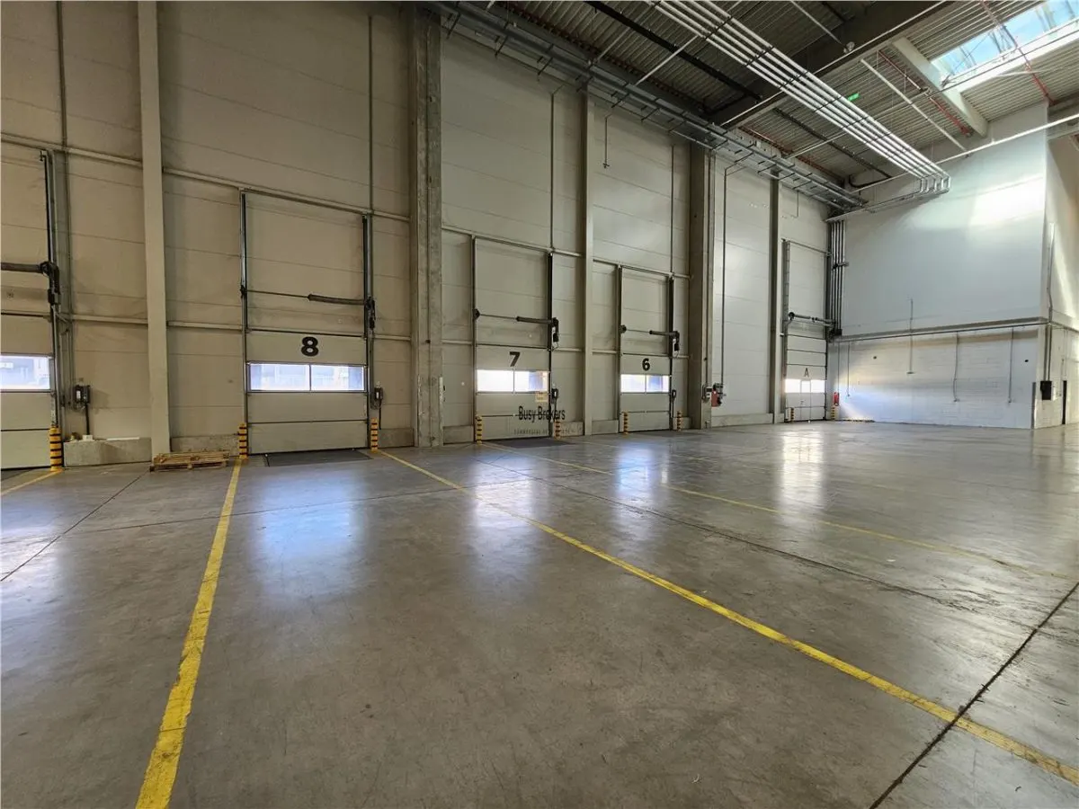 Spatiu Industrial - 7600 mp - Logistica - Productie - Depozitare - Distributie - foto 6