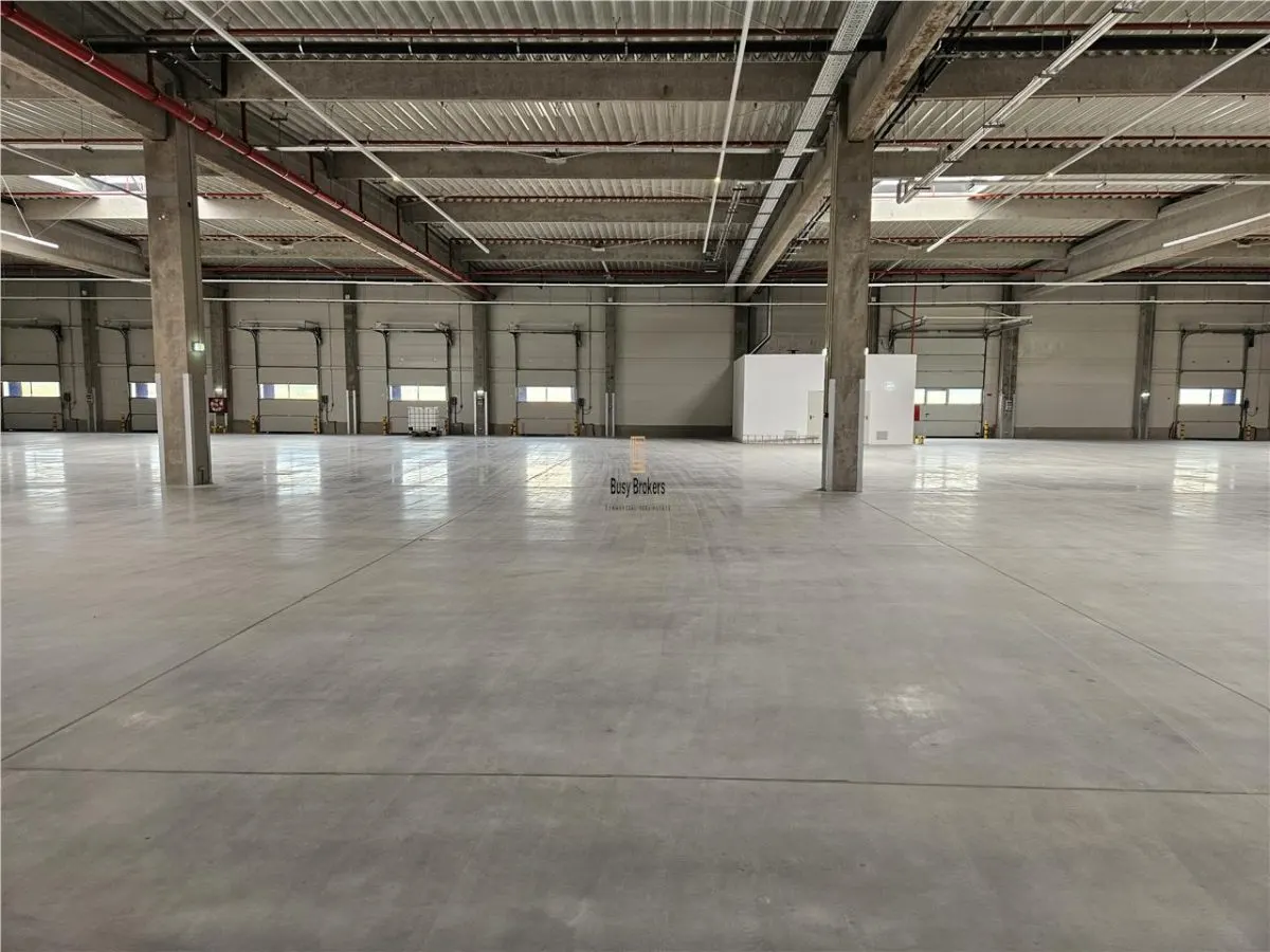 Spatiu Industrial - 7600 mp - Logistica - Productie - Depozitare - Distributie - foto 7