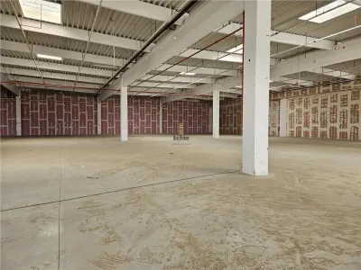 Spatiu Industrial - 9500 mp - Logistica - Productie - Depozitare - Distributie - foto 9