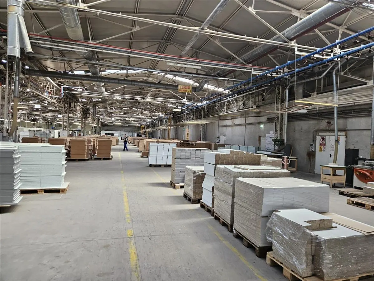 Spatiu Industrial -  2500 mp - Productie - Depozitare - Distributie - foto 16