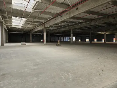 Spatiu Industrial - 2300 mp - Productie - Depozitare - Distributie - foto 7