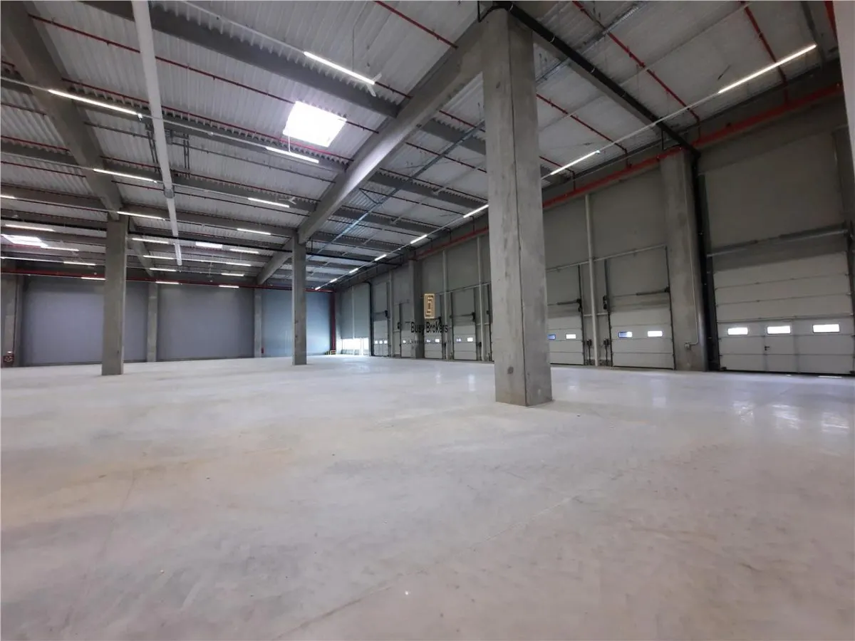 Spatiu Industrial - 5000 mp - Logistica - Productie - Depozitare - Distributie - foto 2