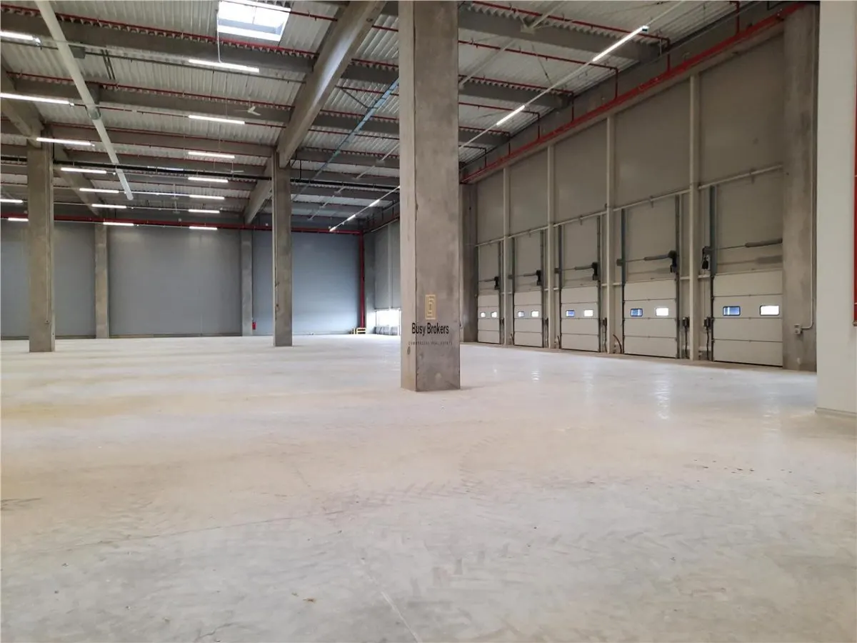 Spatiu Industrial - 5000 mp - Logistica - Productie - Depozitare - Distributie - foto 10