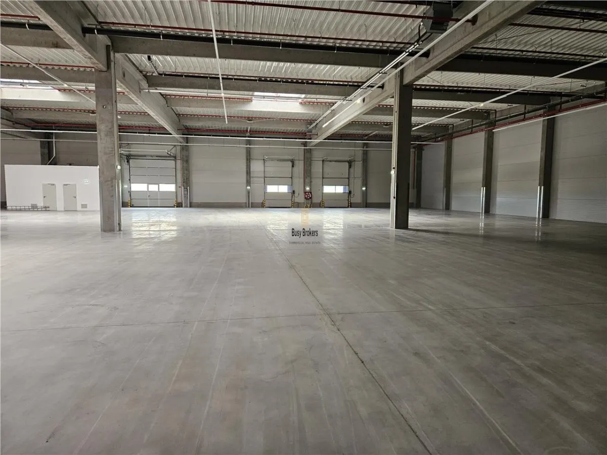 Spatiu Industrial - 3700 mp - Logistica - Productie - Depozitare - Distributie - foto 2