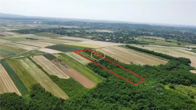 Teren de vanzare - 15.740 mp | Viile Satu Mare | Priveliste superba | Ideal pentru agrement sau investitie turistica - foto 4