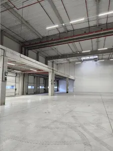 Spatiu Industrial - 2500 mp - Logistica - Productie - Depozitare - Distributie - foto 3