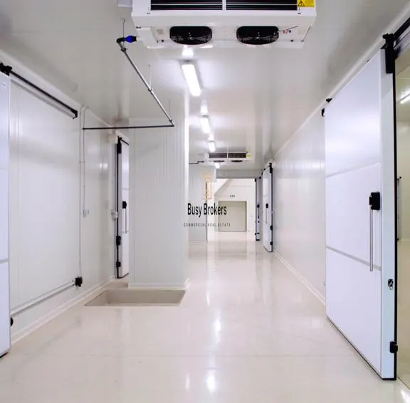 Spatii Frigorifice - 5200 mp - Congelate - Refrigerate - foto 1