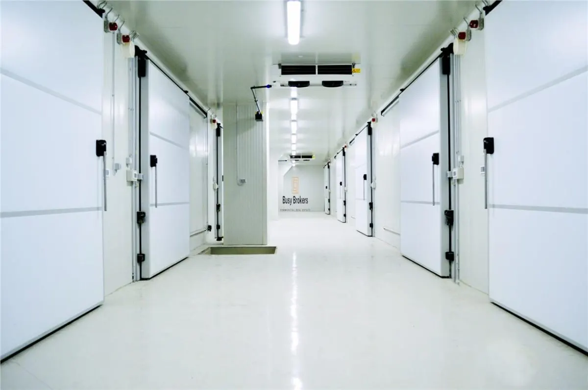 Spatii Frigorifice - 5200 mp - Congelate - Refrigerate - foto 2