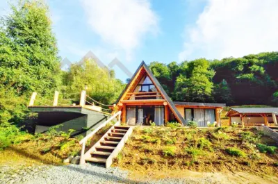 Cabana A-frame ,, Padurea Cerbilor - foto 2