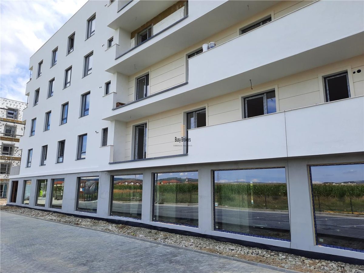 Spatiu Comercial, 700 mp, Sibiu - foto 9