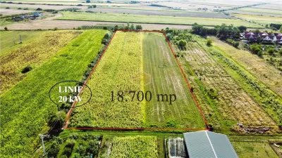 Dezvoltare rezidentiala: Teren pentru parcelare si construire case - foto 2