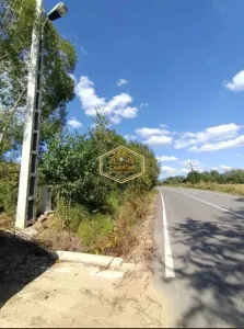 VIDEO | Teren 5.194 m² | 181 metri front la strada Principala (DJ 182C) | Servicii - foto 6