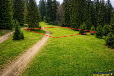 Teren cu potential:1.000 mp,proiect turistic/rezidential,Poiana Brasov - foto 3