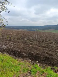 Aroneanu - Dorobant TEREN 46000mp PUZ realizat 59 de case la str principala cu toate utilitatile - foto 6
