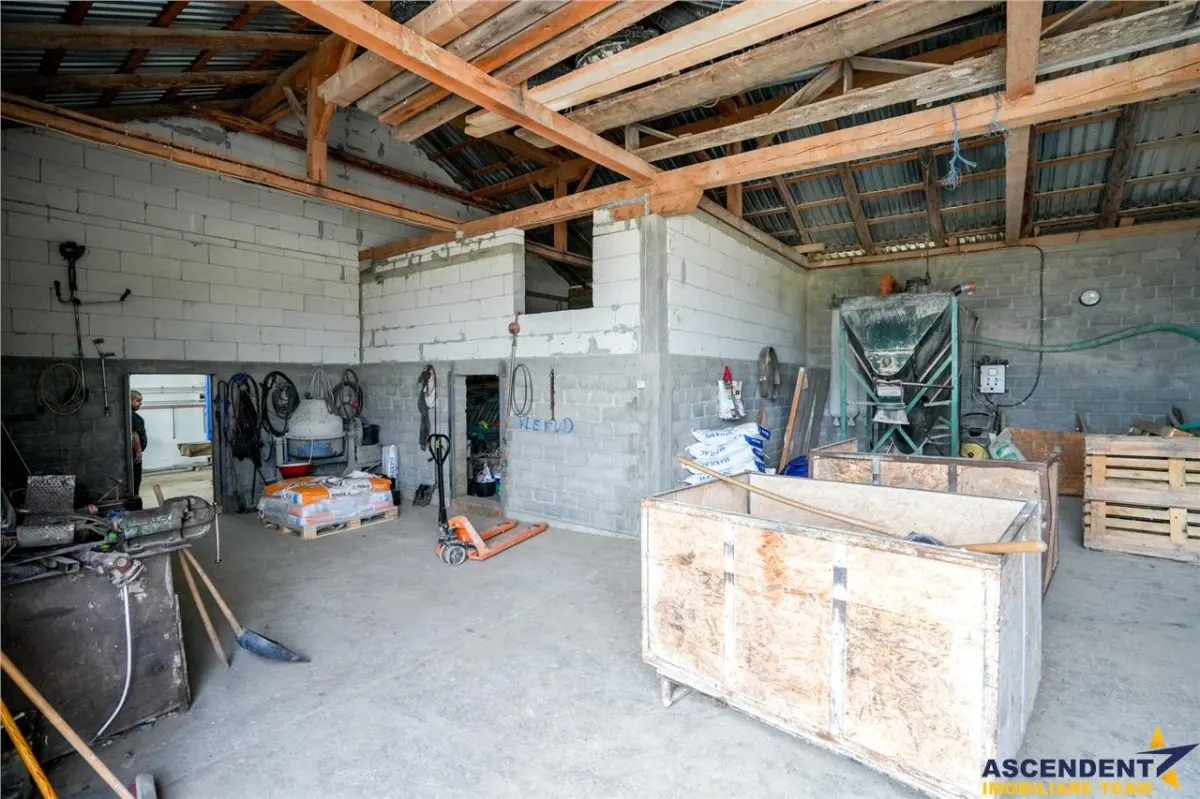Ferma+Anexe specifice+ Constructie rezidentiala+222.000 mp domeniu - foto 25