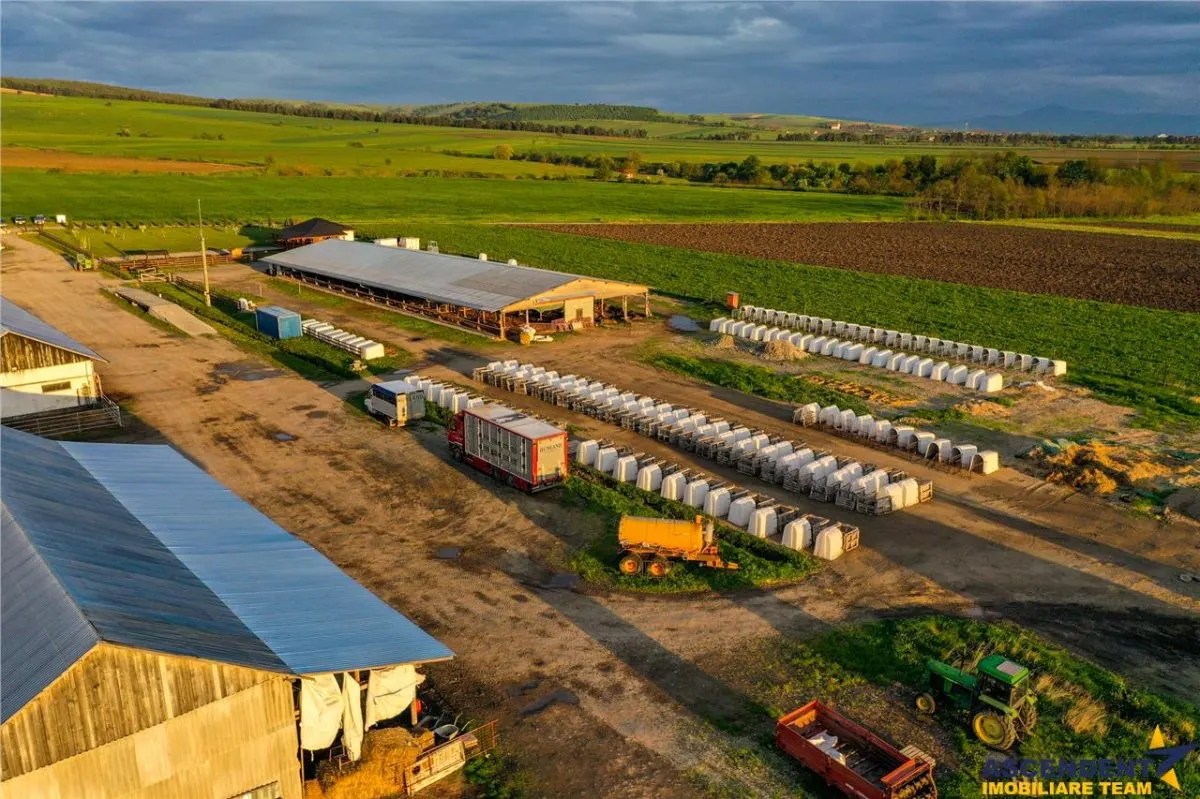 Ferma+Anexe specifice+ Constructie rezidentiala+222.000 mp domeniu - foto 9