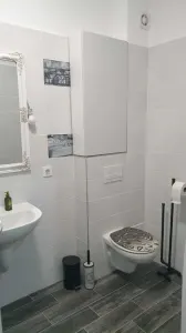 Apartament 2 camere,  în vila, mobilat, utilat, loc parcare, Sanpetru, Brasov - foto 7