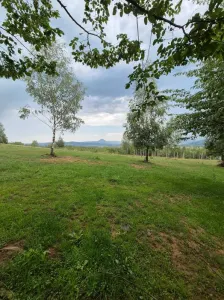 Rasnov, Brasov - Rasnov