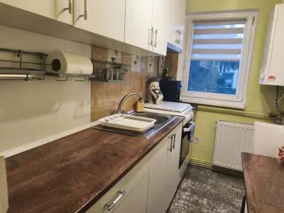 Apartament La Cheie Renovat/Ultilat/Mobilat Zona Linistita Dambu Pietros - foto 13