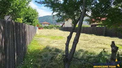Cristian, Brasov - Cristian