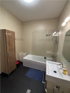 APARTAMENT DE LUX CU 3 CAMERE DE ÎNCHIRIAT ÎN ZONA UNIRII / PIATA UNIRII - foto 6