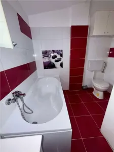 Apartament Giurgiului - foto 8