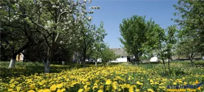 Pe domeniu de 20.000 mp, resedința din provincie, a nobililor feudali - Brasov
