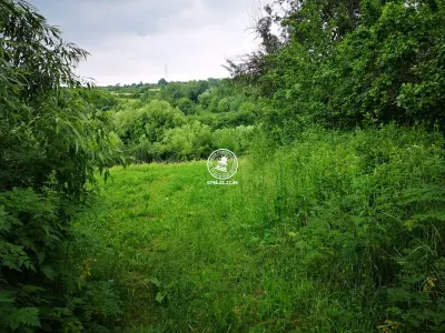 Teren intravilan - 2980mp - de vanzare in Carbunari, Grajduri - foto 3