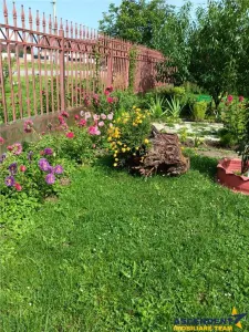 Rasnov, Brasov - Rasnov