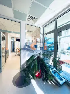 Spațiu comercial 314 mp Mosilor Stradal Parcare proprie - foto 9