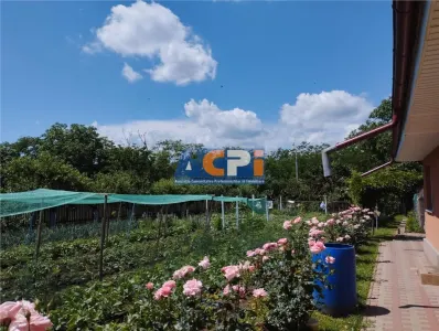 Vila, Republicii, Bacau - foto 10
