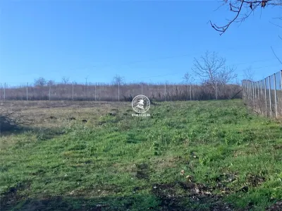 Terenuri de vanzare Iasi, Vorovesti - Iasi