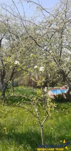 Casa cu gradina, piscina  si alte facilitati, Tarlungeni, Brasov - Brasov