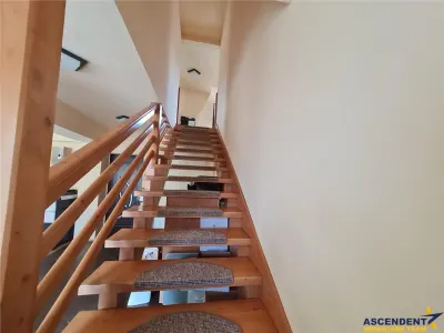 Casa nerezidentiala de vanzare, in Cartierul Florilor - foto 11