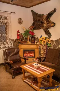 Linie HoReCa, Moieciu, Bran, Brasov - foto 13