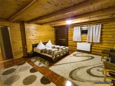 Linie HoReCa, Moieciu, Bran, Brasov - foto 3