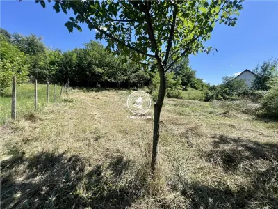 Vila  de vanzare Iasi Ciurea, Ciurea, - foto 11