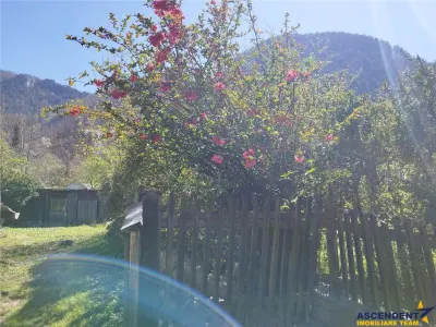 1.600 mp teren, cu casa renovabila, Schei, Brasov - Brasov