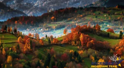 Pe 4.000 mp teren, rezidential/ pensiune, Bran, Brasov - foto 5