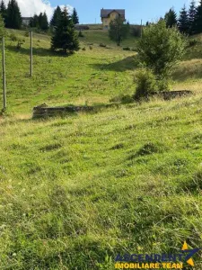 8.000 mp teren, Bran, Fundata, Brasov - foto 4